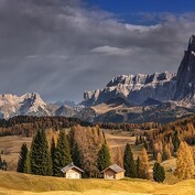 --- Alpe di Siusi ---