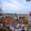 Praha z jara