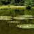 Na rybníku Hajdovec