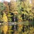 Podzim u rybníka - břízy ve vodě