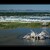 Keř a sůl - jezero Mono Lake