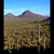 Saguaro National Park