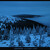 Krkonoše - 11.2.2007 - 17:08