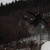 mlady snowboardista vo Vratnej - Terchova