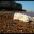 hunstanton cliff