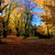 Barvy podzimního lesa