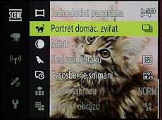 © Petr Koritina | © Petr Koritina