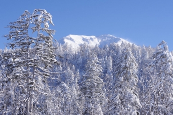 obr 6a | (C) Ricoh Imaging