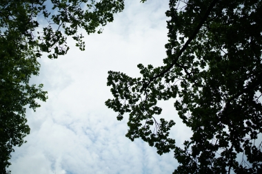 Zeiss FE 50mm F1.4, ILCE-7RM2, F1.6, 1/8000 s, ISO: 100, komp. exp. 0,WB Ruční | (c) Jakub Súkeník Zeiss FE 50mm F1.4, ILCE-7RM2, F1.6, 1/8000 s, ISO: 100, komp. exp. 0,WB Ru?n?