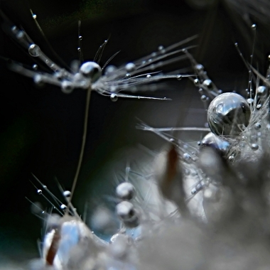 obr 5 | Mirka Winklerová