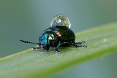 obr 7 | Hawkeye | Jan Vosecký