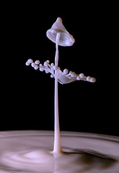 obr 16 | Kapr0s | (C)2013 Rostislav Kralik, all rights reserved