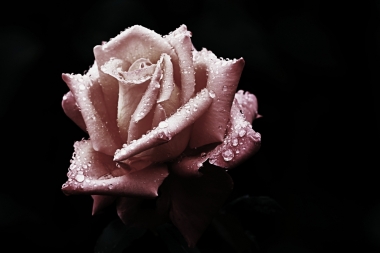 obr 3 | Petr Linhart 1