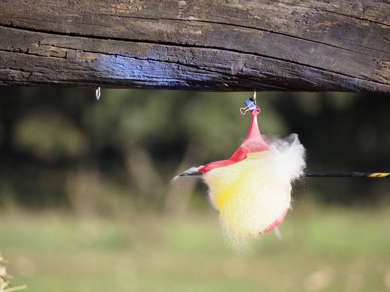 E-M1MarkII , OLYMPUS M.40-150mm F2.8 F2.8, 1/12800 s, ISO: 2000, komp. exp. 0, WB Automatické | (c) Jakub Súkeník E-M1MarkII , OLYMPUS M.40-150mm F2.8 F2.8, 1/12800 s, ISO: 2000, komp. exp. 0, WB Automatick?