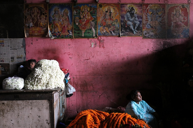 (c) Daniela Matulová