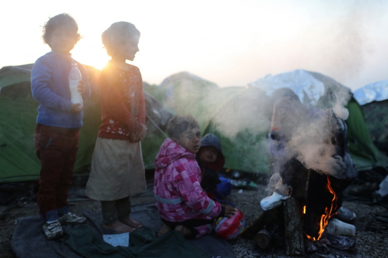 (c) Daniela Matulová