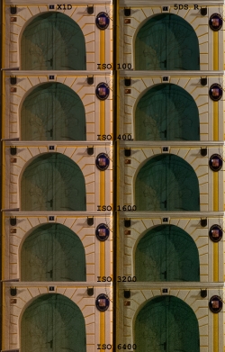 (c) Andrej Macenauer