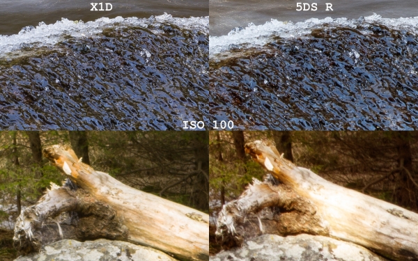 (c) Andrej Macenauer