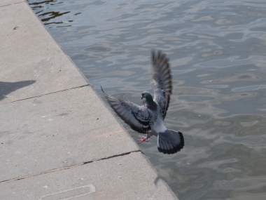 DC-GH5, , 60.00 mm, F9.0, ISO 200, 1/500 s, komp. exp. -1/3, Blesk: Ne, JPEG | © Jakub Súkeník DC-GH5, , 60.00 mm, F9.0, ISO 200, 1/500 s, komp. exp. -1/3, Blesk: Ne, JPEG