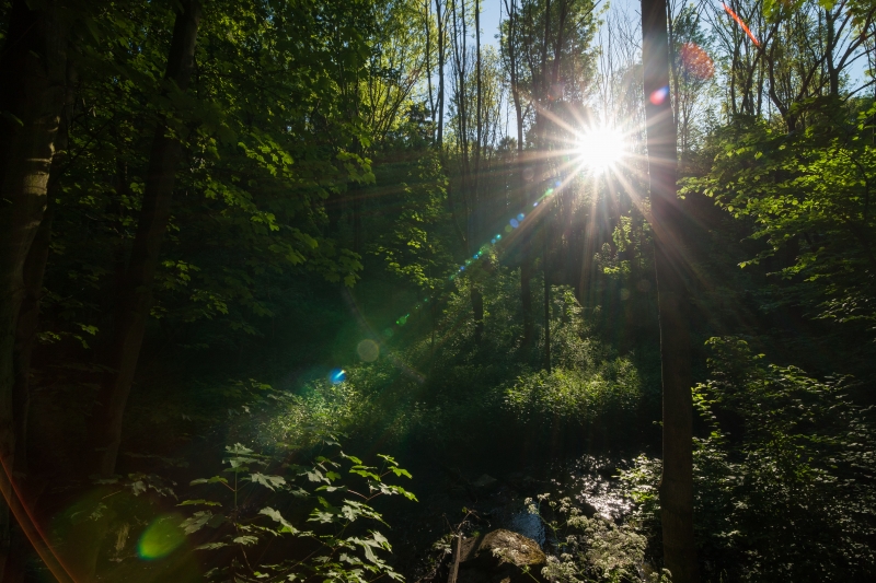 Canon EOS-1Ds Mark III, 14mm, 14.00 mm, F16, ISO 250, 1/60 s, komp. exp. -2/3, Blesk: Ne, RAW v Adobe Photoshop Elements 14.0 (Windows) | © Jakub Súkeník Canon EOS-1Ds Mark III, 14mm, 14.00 mm, F16, ISO 250, 1/60 s, komp. exp. -2/3, Blesk: Ne, RAW v Adobe Photoshop Elements 14.0 (Windows)