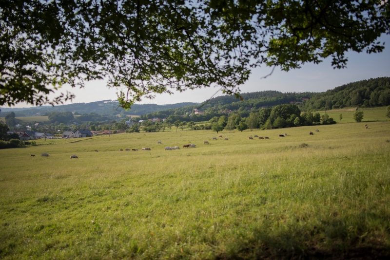 NIKON D610, 28.0 mm f/1.4, Ohnisko: 28.00 mm, Clona: f/1.4, Čas: 1/4000 s, ISO: 100 | (c) Jan Pánek