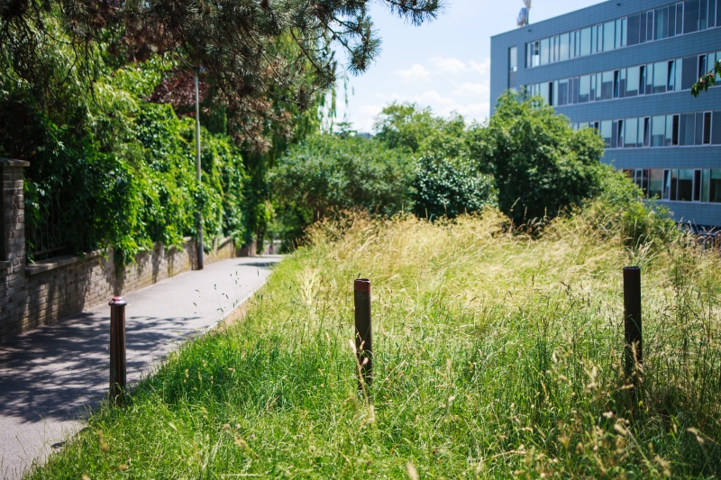 Canon EOS-1Ds Mark III, TAMRON SP 35mm F/1.8 Di VC USD F012, 35.00 mm, F1.8, ISO 100, 1/2000 s, komp. exp. +1/3, Blesk: Ne, RAW v Adobe Photoshop Elements | © Jakub Súkeník Canon EOS-1Ds Mark III, TAMRON SP 35mm F/1.8 Di VC USD F012, 35.00 mm, F1.8, ISO 100, 1/2000 s, komp. exp. +1/3, Blesk: Ne, RAW v Adobe Photoshop Elements