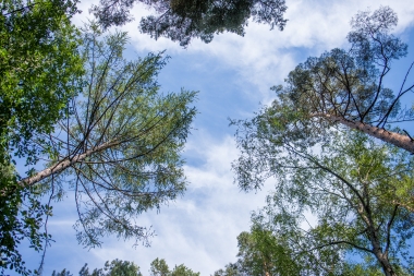 Canon EOS-1Ds Mark III, TAMRON SP 35mm F/1.8 Di VC USD F012, 35.00 mm, F2.8, ISO 100, 1/800 s, komp. exp. +1, Blesk: Ne, RAW v Adobe Photoshop Elements 14. | © Jakub Súkeník Canon EOS-1Ds Mark III, TAMRON SP 35mm F/1.8 Di VC USD F012, 35.00 mm, F2.8, ISO 100, 1/800 s, komp. exp. +1, Blesk: Ne, RAW v Adobe Photoshop Elements 14.