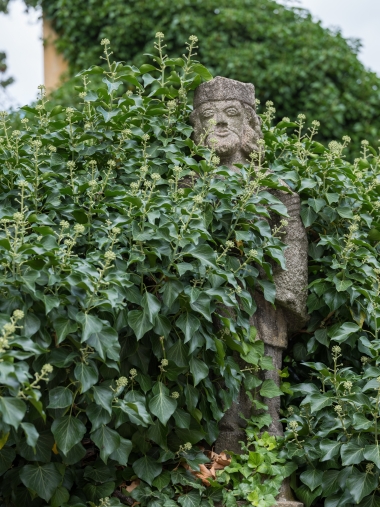 GFX 50S, Objektiv: GF120mmF4 R LM OIS WR Macro, F5.6, ISO 400, 1/220 s, komp. exp. +2/3, Blesk: Ne, RAW v Adobe DNG Converter 9.12 (Windows) | © Andrej Macenauer GFX 50S, Objektiv: GF120mmF4 R LM OIS WR Macro, F5.6, ISO 400, 1/220 s, komp. exp. +2/3, Blesk: Ne, RAW v Adobe DNG Converter 9.12 (Windows)