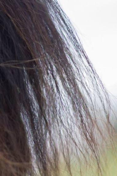 sigma-50-mm-art-chromaticka-aberace-vyrez.jpg | Jan Pánek