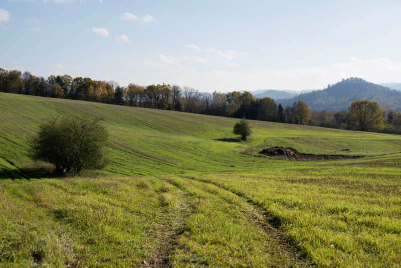 NIKON D610, Sigma 50.0 mm f/1.4, Ohnisko: 50.00 mm, Clona: f/5.6, Čas: 1/640 s, ISO: 100 | Jan Pánek