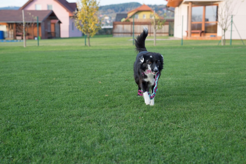 sigma-50-mm-art-ostreni.jpg | Jan Pánek