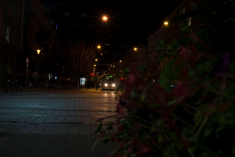 sigma-50-mm-art-hvezda.jpg | Jan Pánek