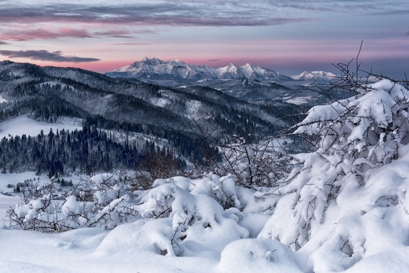 HURAJT Vladimir | (c)tjaruh