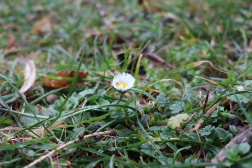 Canon PowerShot G1 X Mark III, Ohnisko: 45.00 mm, Clona: f/5.6, Čas: 1/80 s, ISO: 320 | © Petr Koritina Canon PowerShot G1 X Mark III, Ohnisko: 45.00 mm, Clona: f/5.6, Čas: 1/80 s, ISO: 320