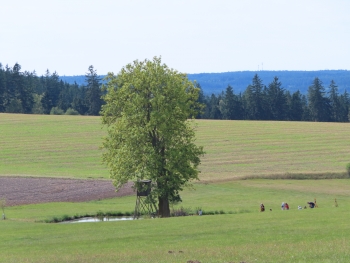 Canon PowerShot SX740 HS, Ohnisková vzdálenost: 38.68 mm, Clona: 5.6, Čas: 1/400 s, ISO: 100 | © Petr Koritina Canon PowerShot SX740 HS, Ohniskov? vzd?lenost: 38.68 mm, Clona: 5.6, ?as: 1/400 s, ISO: 100