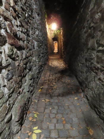 Canon PowerShot SX740 HS, Ohnisková vzdálenost: 4.30 mm, Clona: 3.3, Čas: 0.8 s, ISO: 800 | © Petr Koritina Canon PowerShot SX740 HS, Ohniskov? vzd?lenost: 4.30 mm, Clona: 3.3, ?as: 0.8 s, ISO: 800