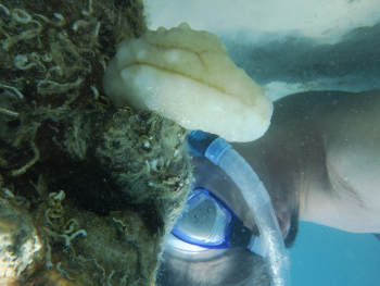 Finepix XP140, Ohnisková vzdálenost: 5.00 mm, Clona: 6.2, Čas: 1/220 s, ISO: 100, Kompenzace expozice: 0 EV, Vyrovnání bílé: Automatické | © Petr Koritina Finepix XP140, Ohniskov? vzd?lenost: 5.00 mm, Clona: 6.2, ?as: 1/220 s, ISO: 100, Kompenzace expozice: 0 EV, Vyrovn?n? b?l?: Automatick?