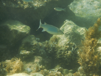 Finepix XP140, Ohnisková vzdálenost: 11.80 mm, Clona: 4.7, Čas: 1/300 s, ISO: 100, Kompenzace expozice: 0 EV, Vyrovnání bílé: Automatické | © Petr Koritina Finepix XP140, Ohniskov? vzd?lenost: 11.80 mm, Clona: 4.7, ?as: 1/300 s, ISO: 100, Kompenzace expozice: 0 EV, Vyrovn?n? b?l?: Automatick?