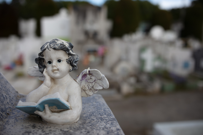 Andrej Macenauer | All rights reserved