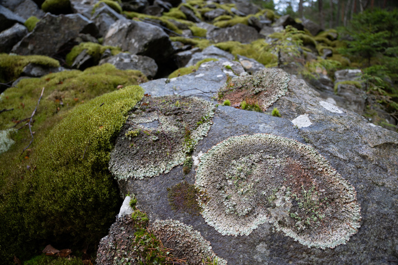 FE 20-70mm F4 G, ILCE-1, ISO: 100, 1/8 s, F4.0, komp. exp. 0.30 | (c) Andrej Macenauer, FotoAparát.cz