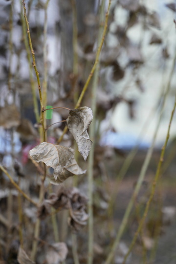 FE 20-70mm F4 G, ILCE-1, ISO: 250, 1/125 s, F4.0, komp. exp. 0 | (c) Jakub Súkeník, FotoAparát.cz