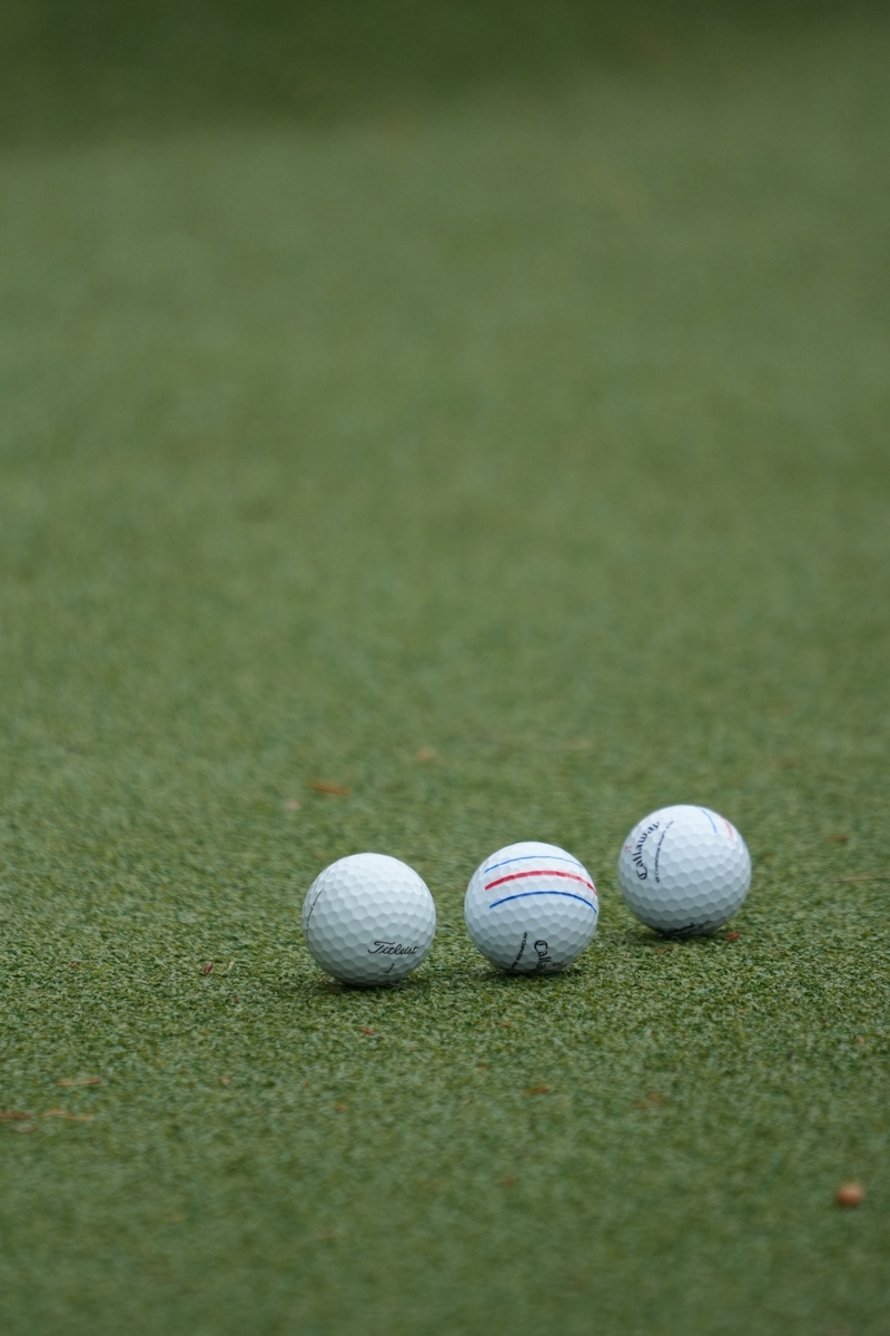 ILCE-6700, FE 100-400mm F4.5-5.6 GM OSS, ISO: 800, 1/2000 s, F5.6, komp. exp. 0, JPEG | (c) Jakub Súkeník, FotoAparát.cz