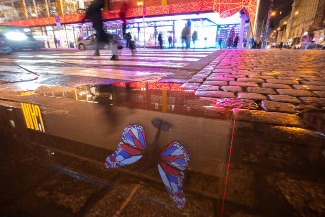 Andrej Macenauer | All rights reserved