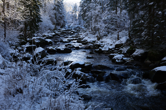 Andrej Macenauer | All rights reserved