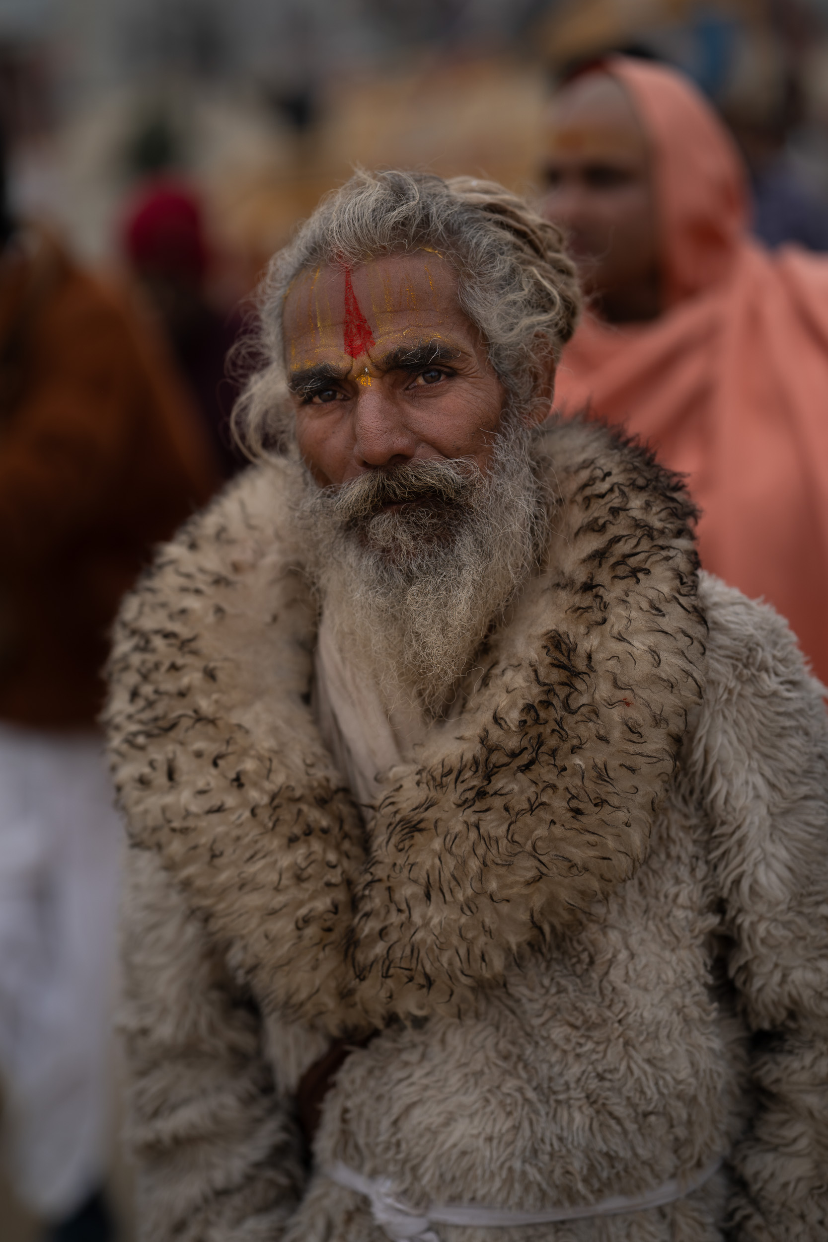 Andrej Macenauer | All rights reserved