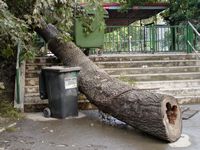 Přesun hmoty Přesun hmoty