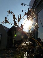 Silné protisvětlo | Jiří Beneš Silné protisvětlo