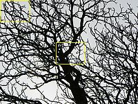 Aberace, celkový pohled | Petr Koritina Aberace, celkový pohled