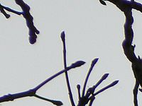 Výřez | Petr Koritina Výřez