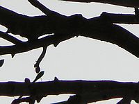 Výřez | Petr Koritina Výřez